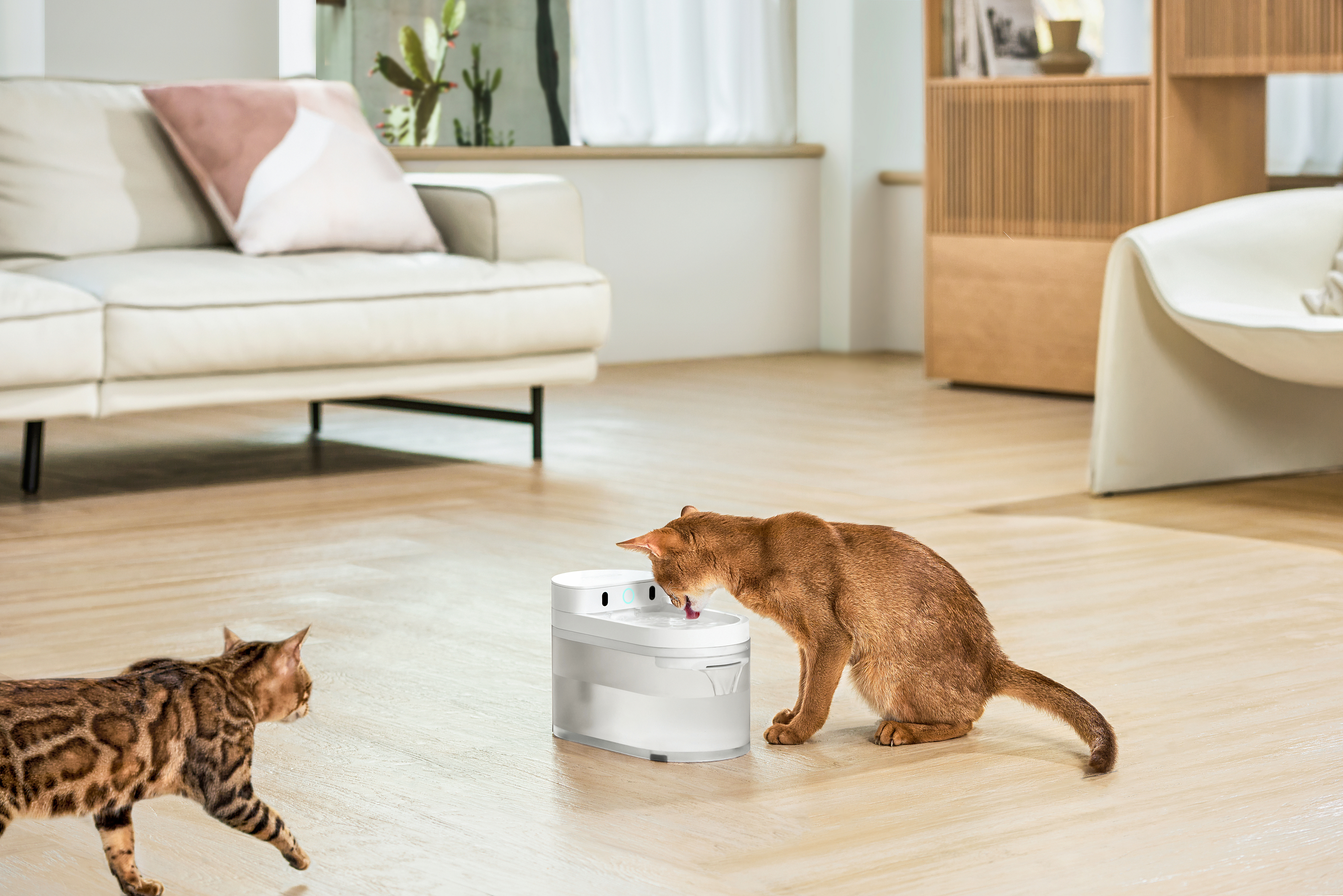 Умная поилка беспроводная Catlink Pure 3 AI Water Fountain-wireless 2,3 л фото21