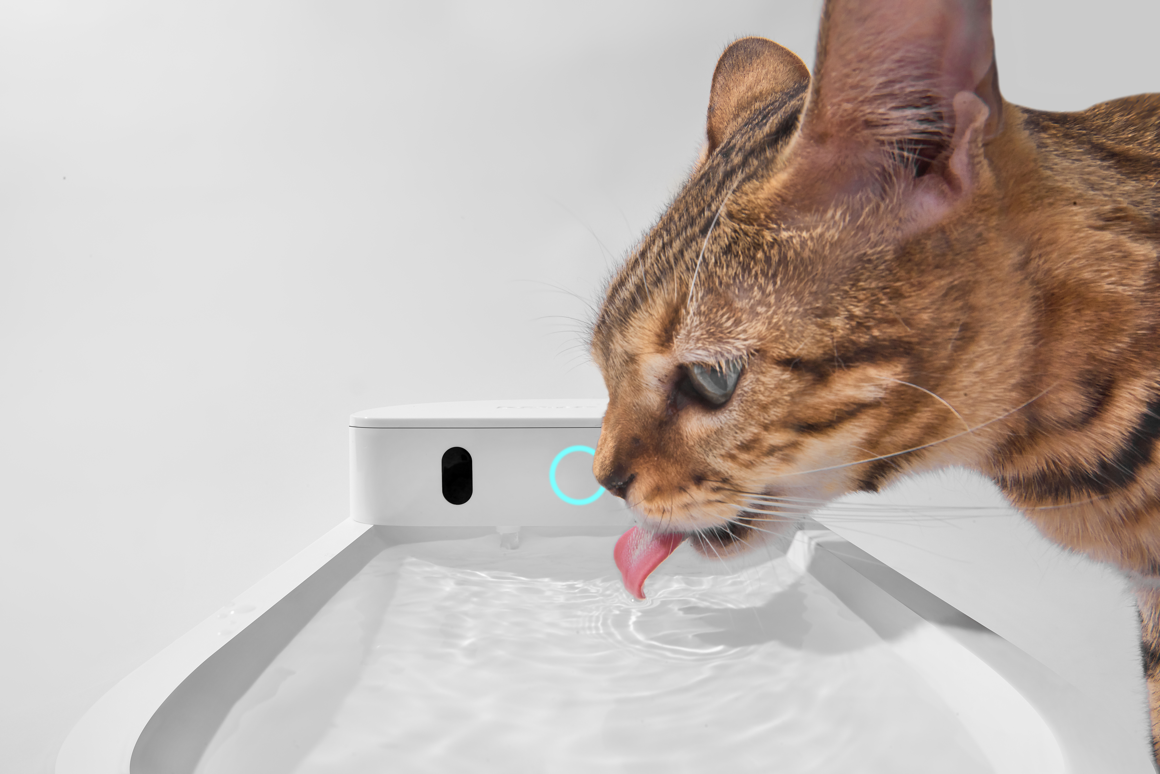 Умная поилка беспроводная Catlink Pure 3 AI Water Fountain-wireless 2,3 л фото13