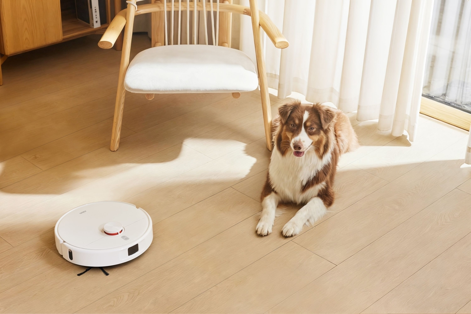 Робот-пилосос Xiaomi Robot Vacuum H50 (1189769) фото15