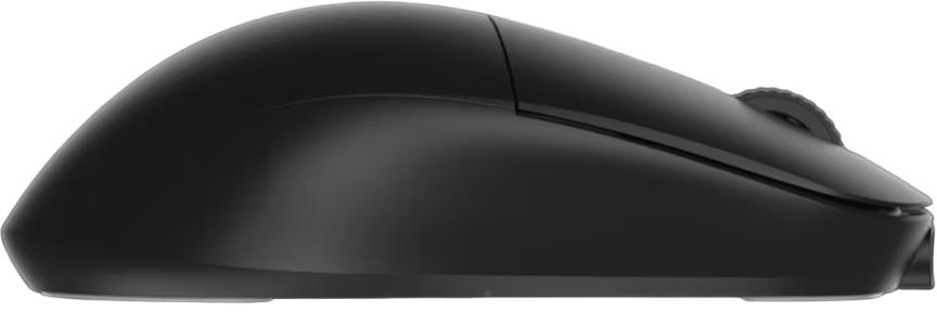 Игровая мышь Endgame Gear XM2we Black (PGW-EG-MOU-020) фото4