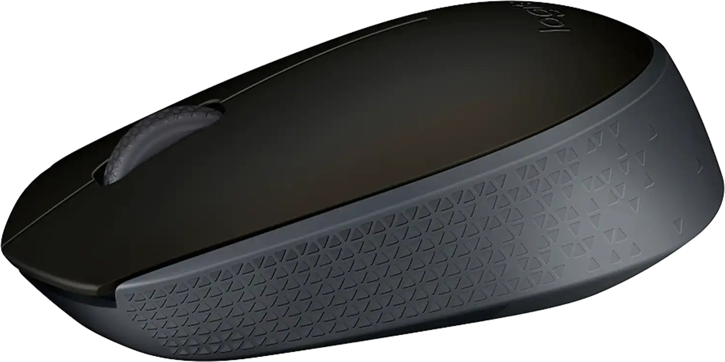 Мышь Logitech M171 Wireless Mouse, BLACK фото2
