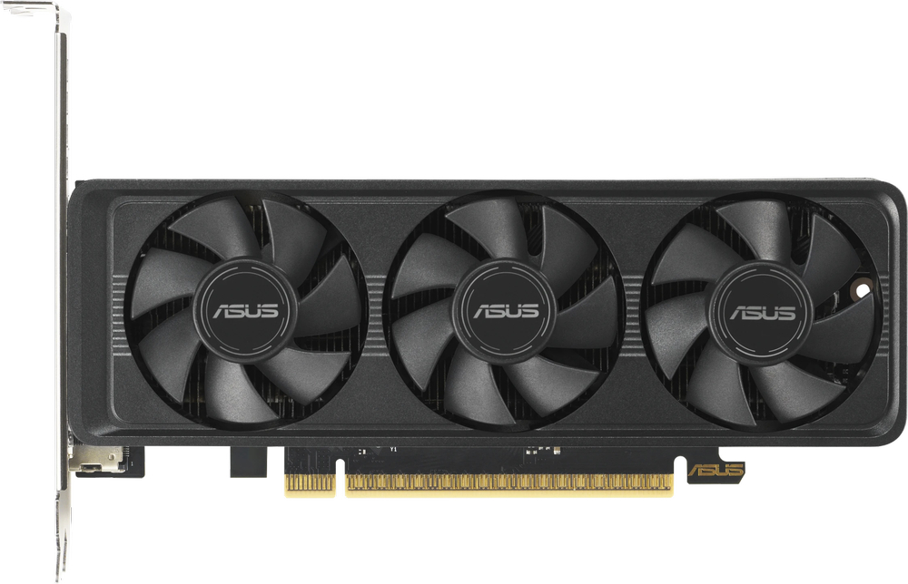 Видеокарта ASUS GeForce RTX 5060 LP BRK 8GB GDDR7 OC (RTX5060-O8G-LP-BRK) фото