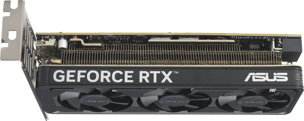 Видеокарта ASUS GeForce RTX 5060 LP BRK 8GB GDDR7 OC (RTX5060-O8G-LP-BRK) фото