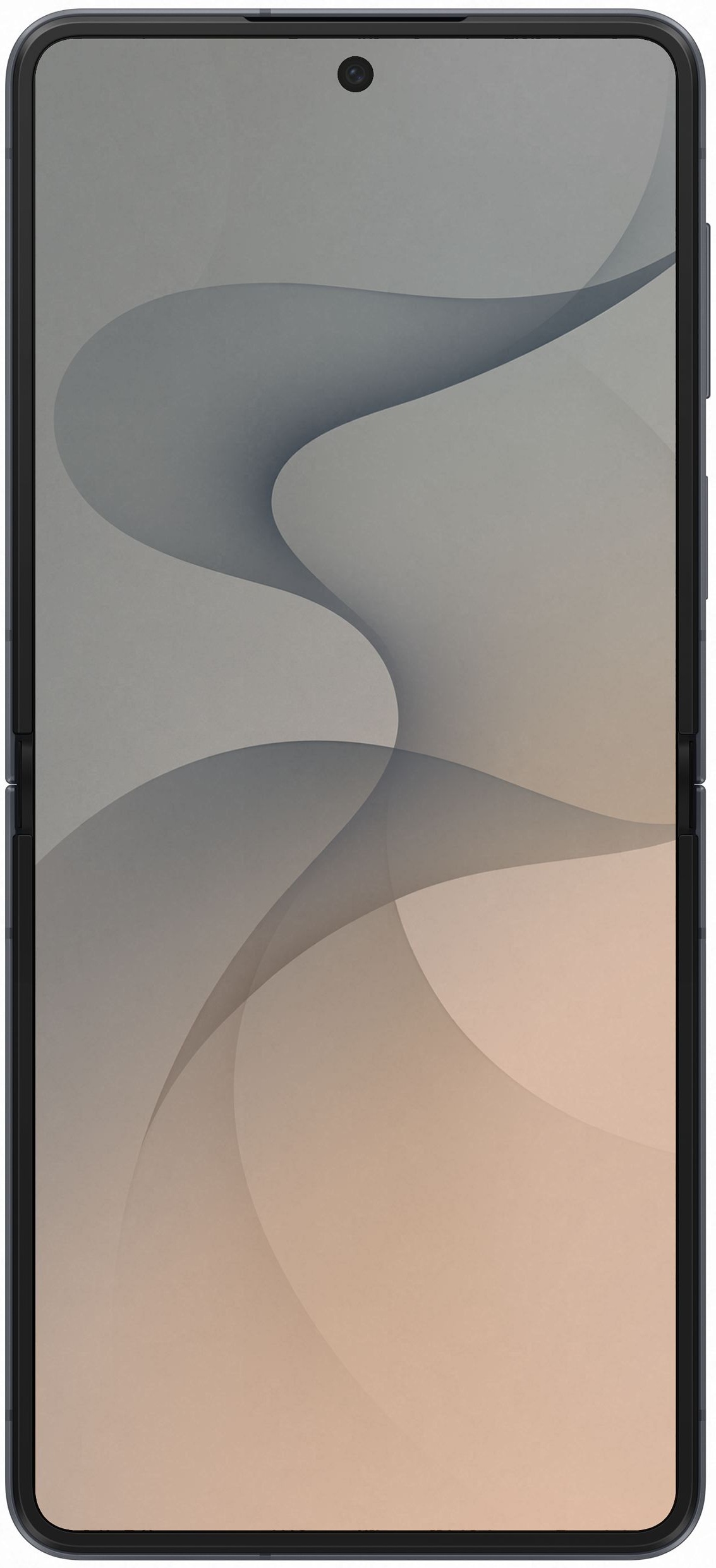 Смартфон Samsung Galaxy Flip8 12/256Gb Graphite (SM-F776BZKGSEK) фото
