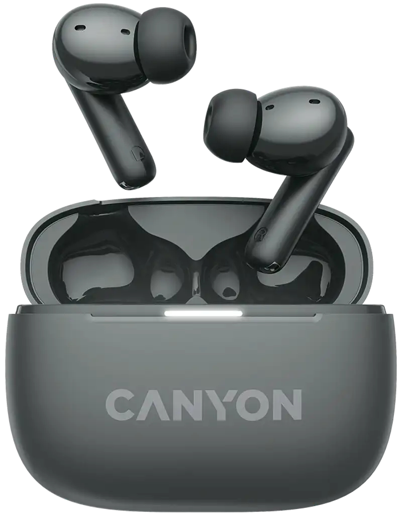 Наушники Canyon OnGo TWS-10 ANC ENC Grey (CNS-TWS10BK) фото3