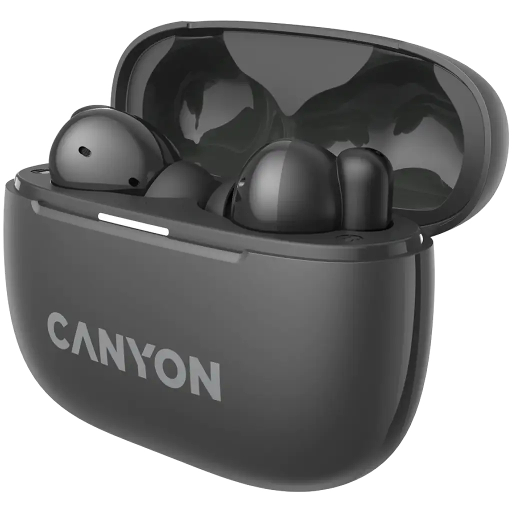 Наушники Canyon OnGo TWS-10 ANC ENC Grey (CNS-TWS10BK) фото2