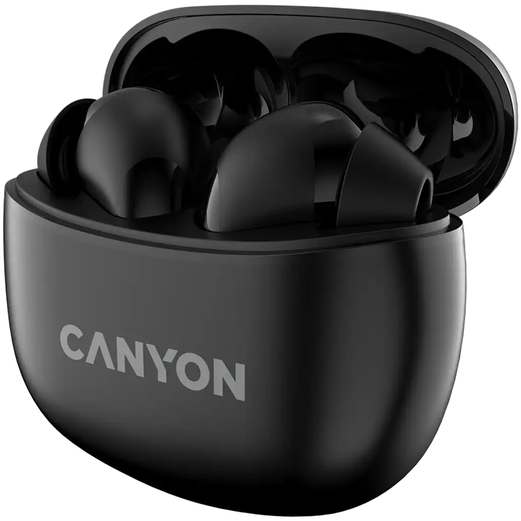 Наушники Canyon TWS-5 Black (CNS-TWS5B) фото2
