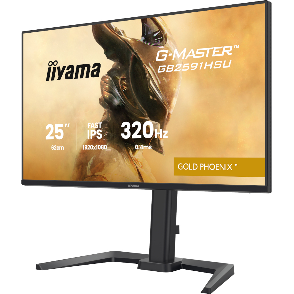 Монитор 24.5" IIYAMA G-Master GB2591HSU-B1 (GB2591HSU-B1) фото