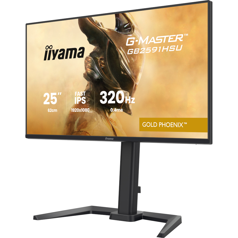 Монитор 24.5" IIYAMA G-Master GB2591HSU-B1 (GB2591HSU-B1) фото