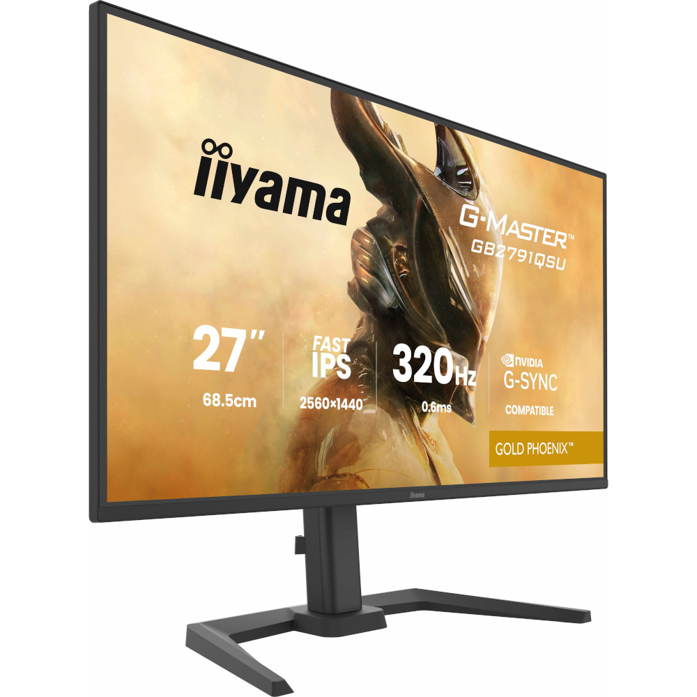 Монитор 27" IIYAMA G-Master GB2791QSU-B1 (GB2791QSU-B1) фото