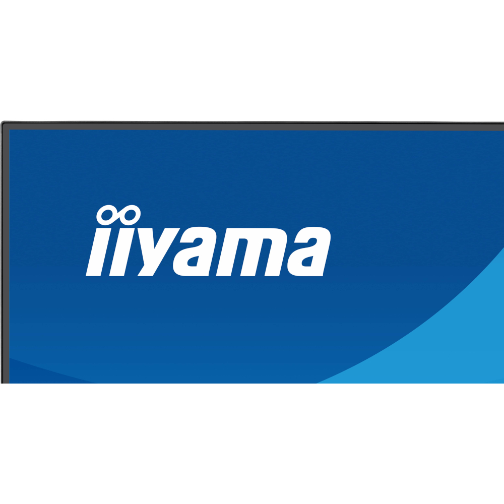 Монітор 23.8" IIYAMA ProLite X2491HS-B1 (X2491HS-B1) фото