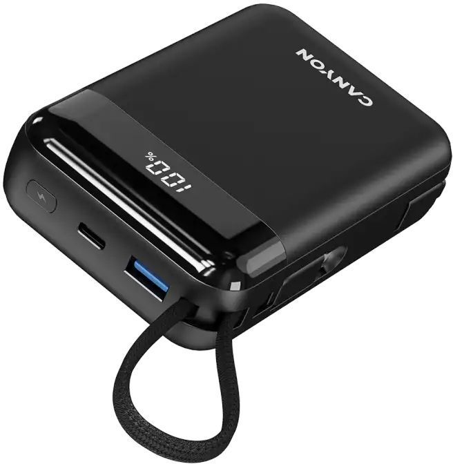 Портативний акумулятор Canyon OnPower 204 20000mah Black (CNS-CPB204B) фото