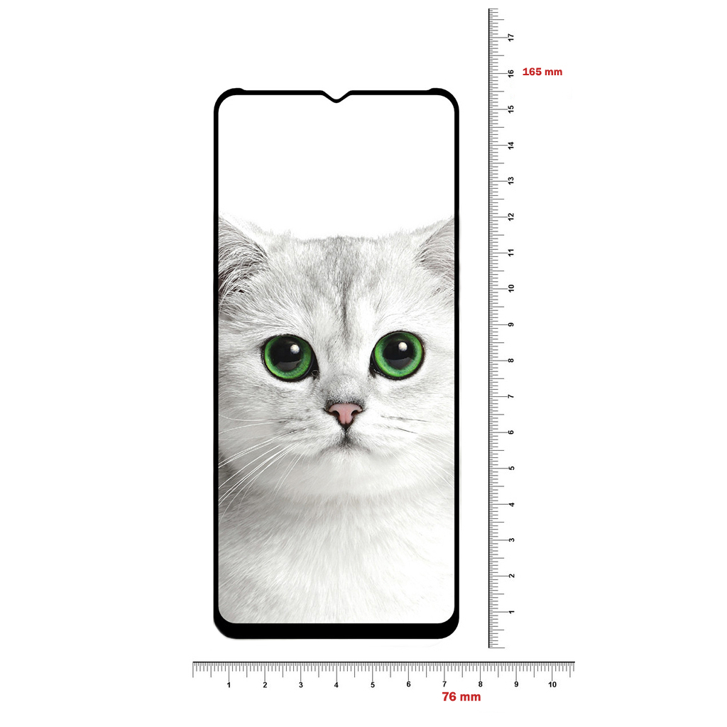 Захисне скло BeCover для Realme C21Y Black (706904) фото