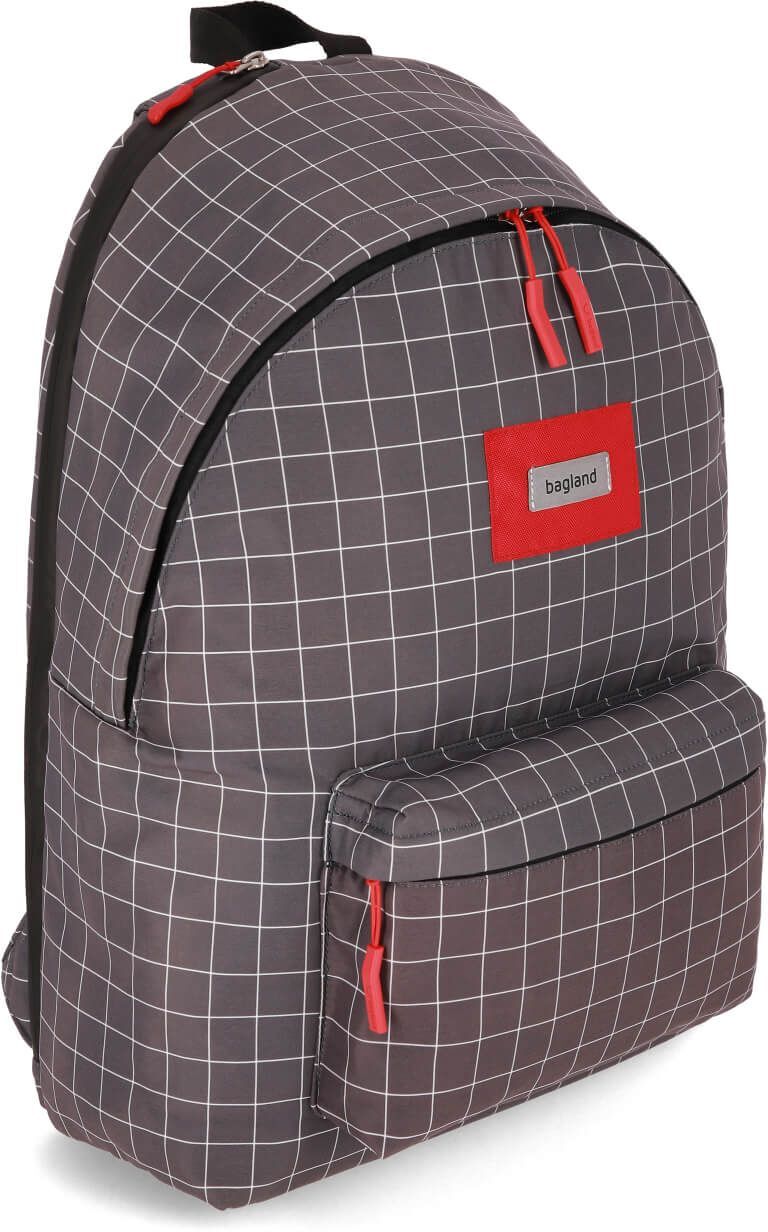 Рюкзак Bagland Stylish XL 1120220801 різнокольоровий фото3
