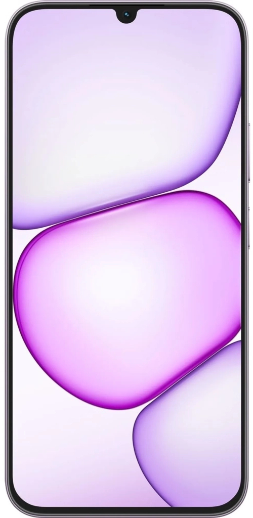 Смартфон Realme C100i 4/128GB Dawn Purple фото3