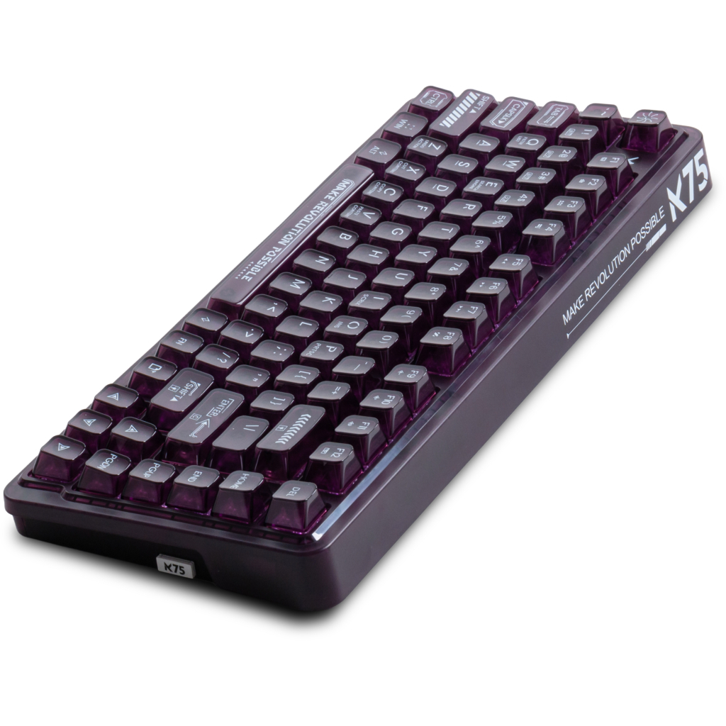 Игровая клавиатура Thunderobot K75 TKL RGB Tri-mode Violet Mist Moon Switch Purple (6932066305550) фото