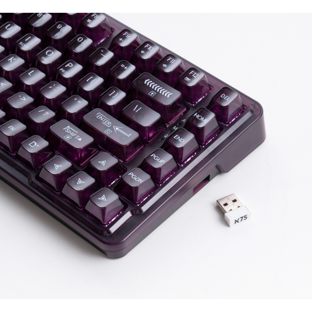Игровая клавиатура Thunderobot K75 TKL RGB Tri-mode Violet Mist Moon Switch Purple (6932066305550) фото