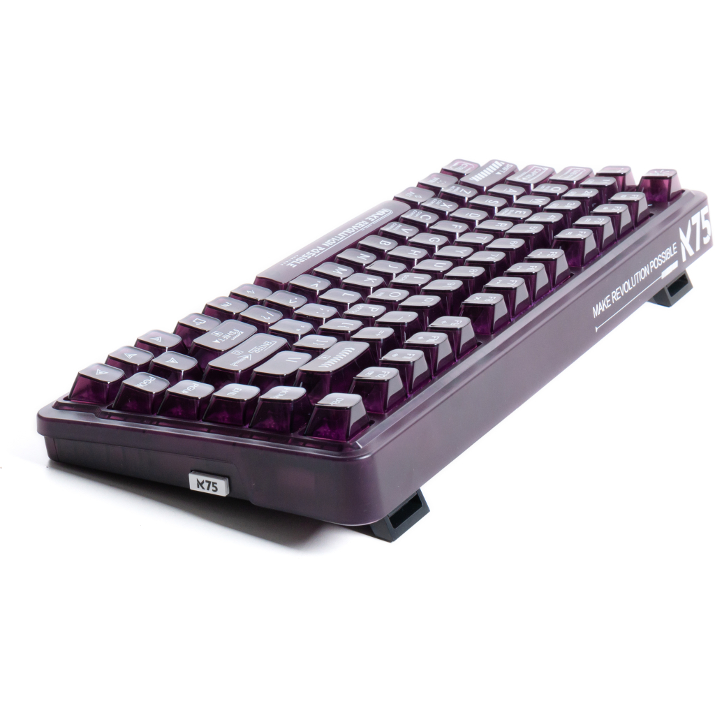 Игровая клавиатура Thunderobot K75 TKL RGB Tri-mode Violet Mist Moon Switch Purple (6932066305550) фото