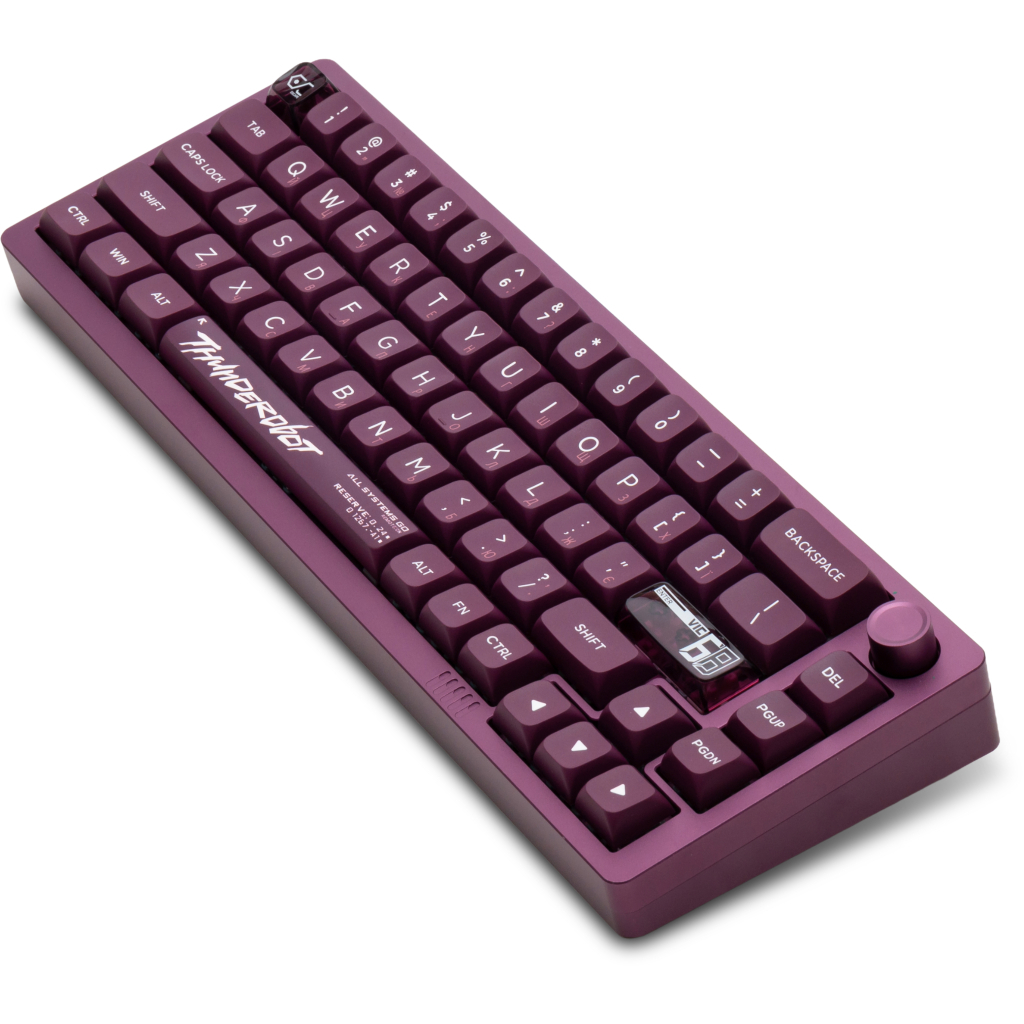 Ігрова клавіатура Thunderobot VIC68 Gateron Magnetic Jade Switch Purple USB UA (6932066317201) фото5