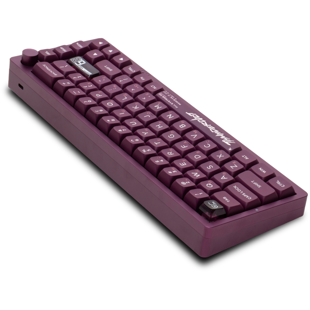 Ігрова клавіатура Thunderobot VIC68 Gateron Magnetic Jade Switch Purple USB UA (6932066317201) фото6