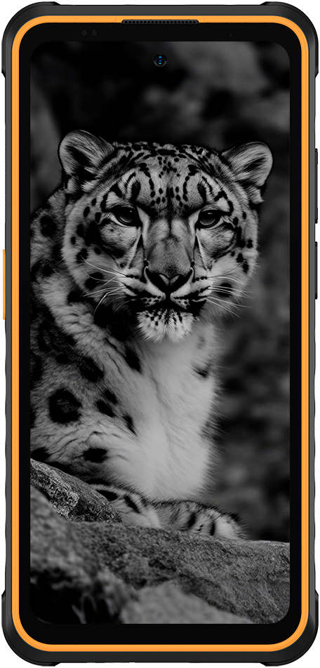 Смартфон Ulefone Armor X31 6/128Gb Black Orange (6975326660068) фото2