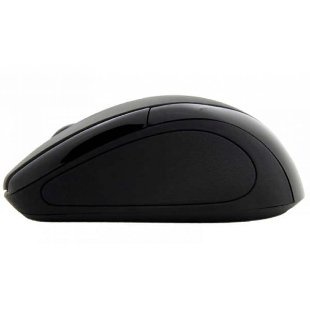 Мишка Esperanza EM101K Black фото