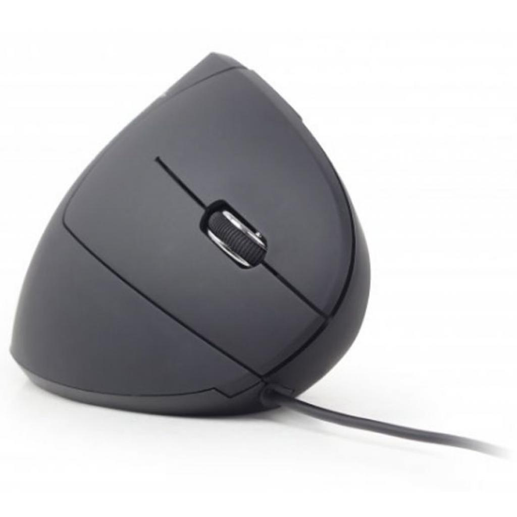 Мишка Gembird MUS-ERGO-01 фото