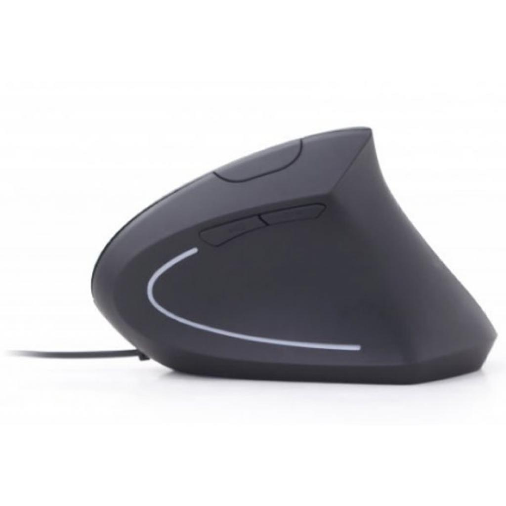 Мишка Gembird MUS-ERGO-01 фото