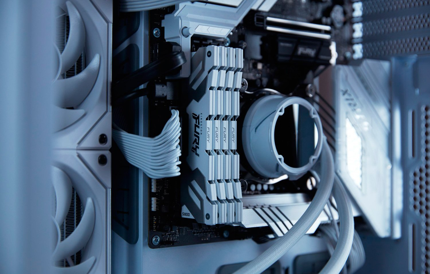 Память для ПК Kingston Fury Renegade White DDR5 6400 64GB (2x32GB) (KF564C32RWK2-64) фото