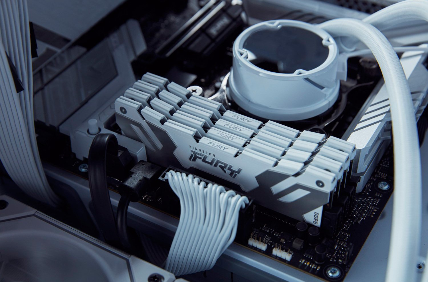 Память для ПК Kingston Fury Renegade White DDR5 6400 64GB (2x32GB) (KF564C32RWK2-64) фото