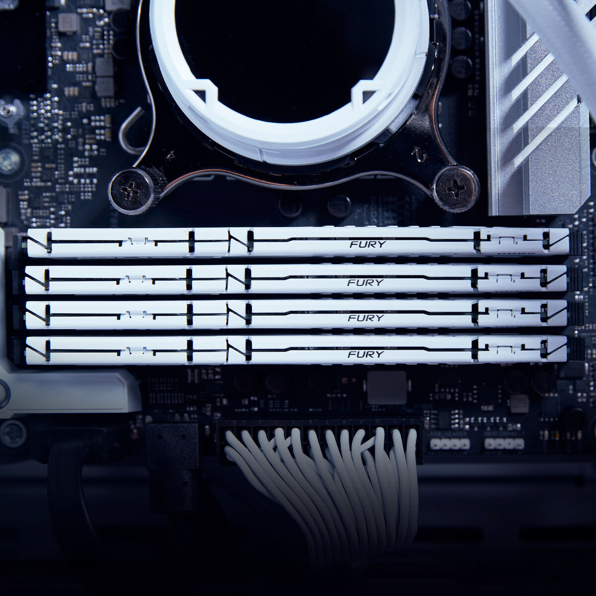 Память для ПК Kingston Fury Beast White DDR5 5600 32GB (2x16GB) (KF556C40BWK2-32) фото