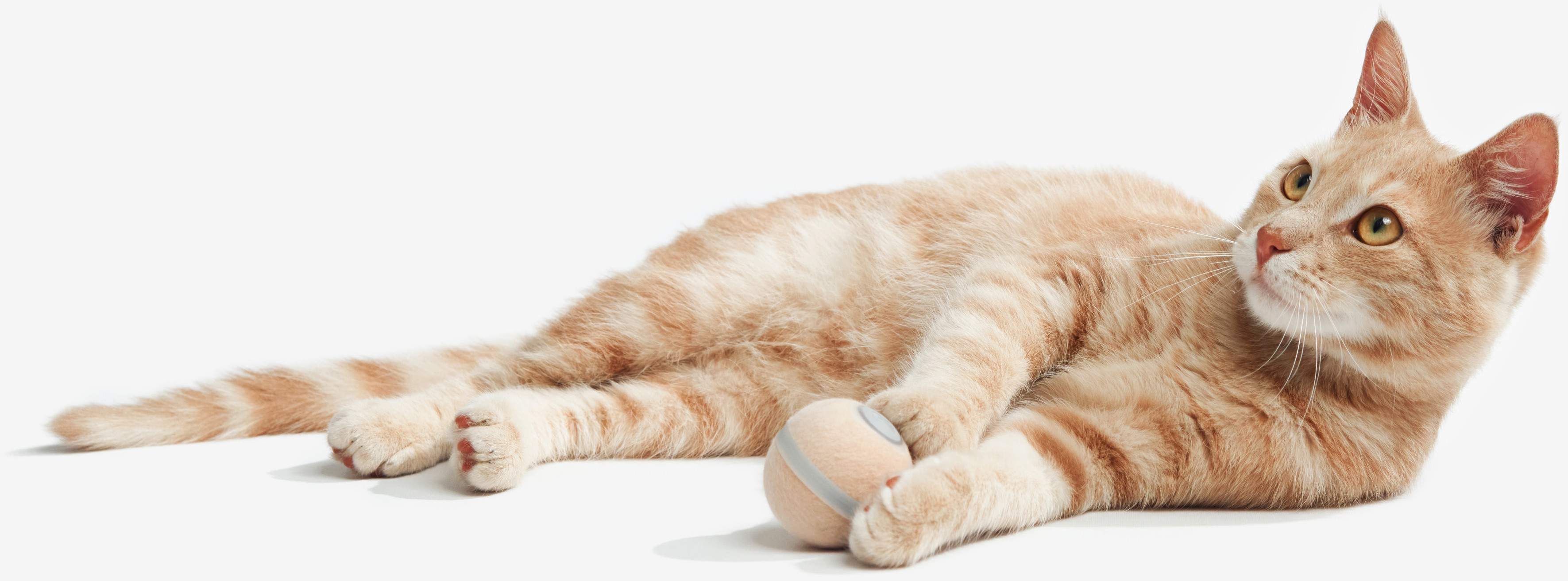 Інтерактивна іграшка для домашніх тварин Cheerble Wicked Ball M3 (Apricot Beige) фото11
