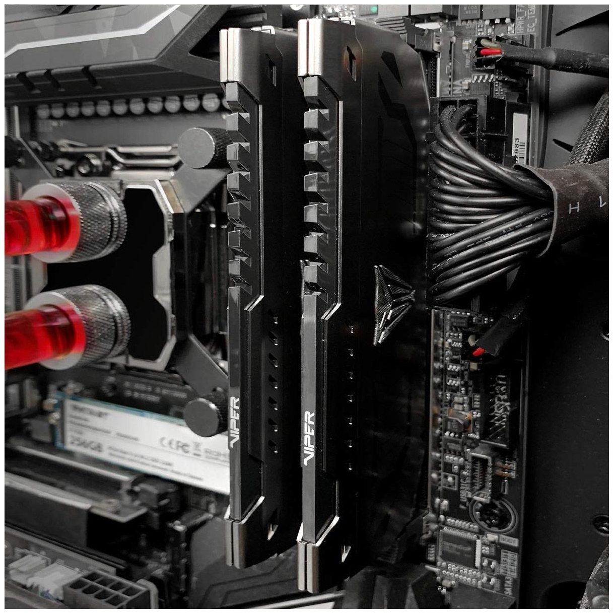 Пам'ять для ПК Patriot DDR4 2x16GB/3600 Viper Steel (PVS432G360C8K) фото