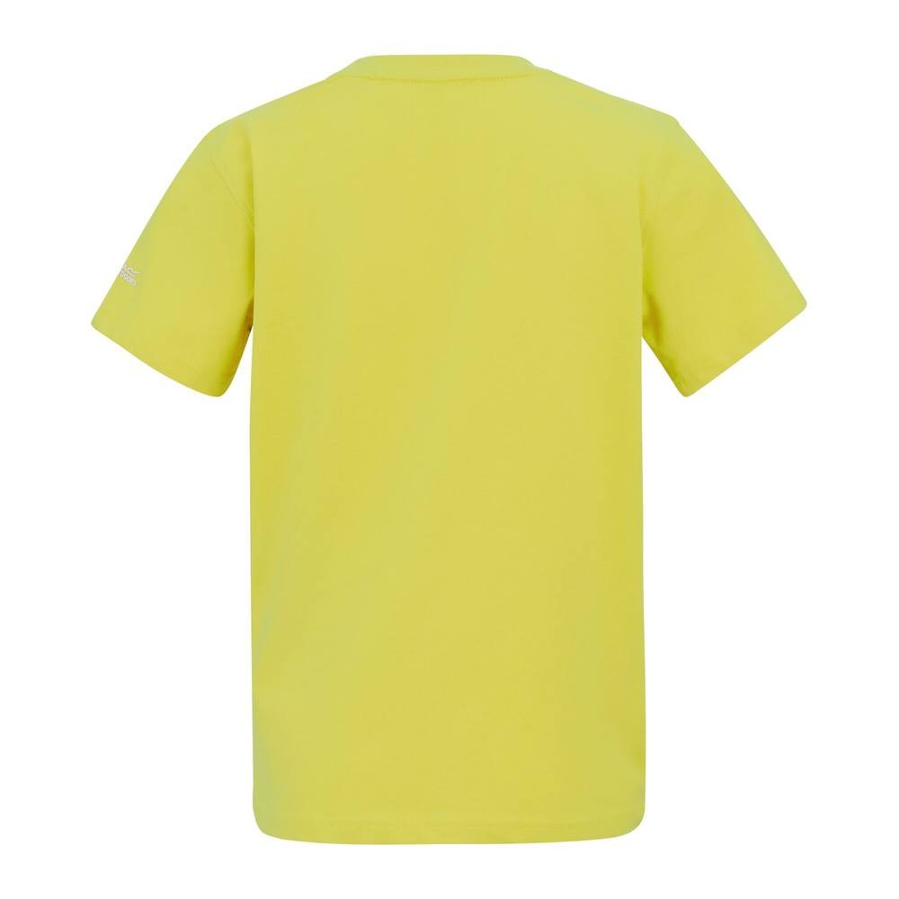 Футболка детская Regatta Bosley RKT181-ZYP 140 желтая фото2