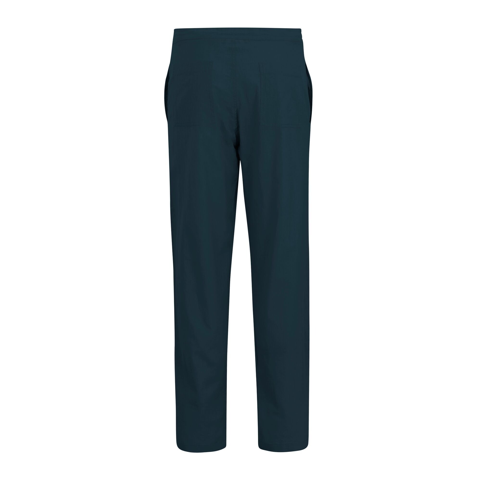Штани чоловічі Regatta HadlinTrouser RMJ356-540 52 сині фото5