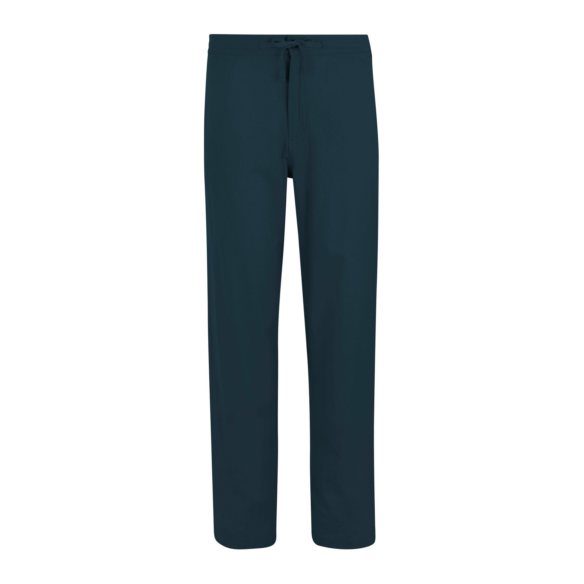 Штани чоловічі Regatta HadlinTrouser RMJ356-540 52 сині фото3