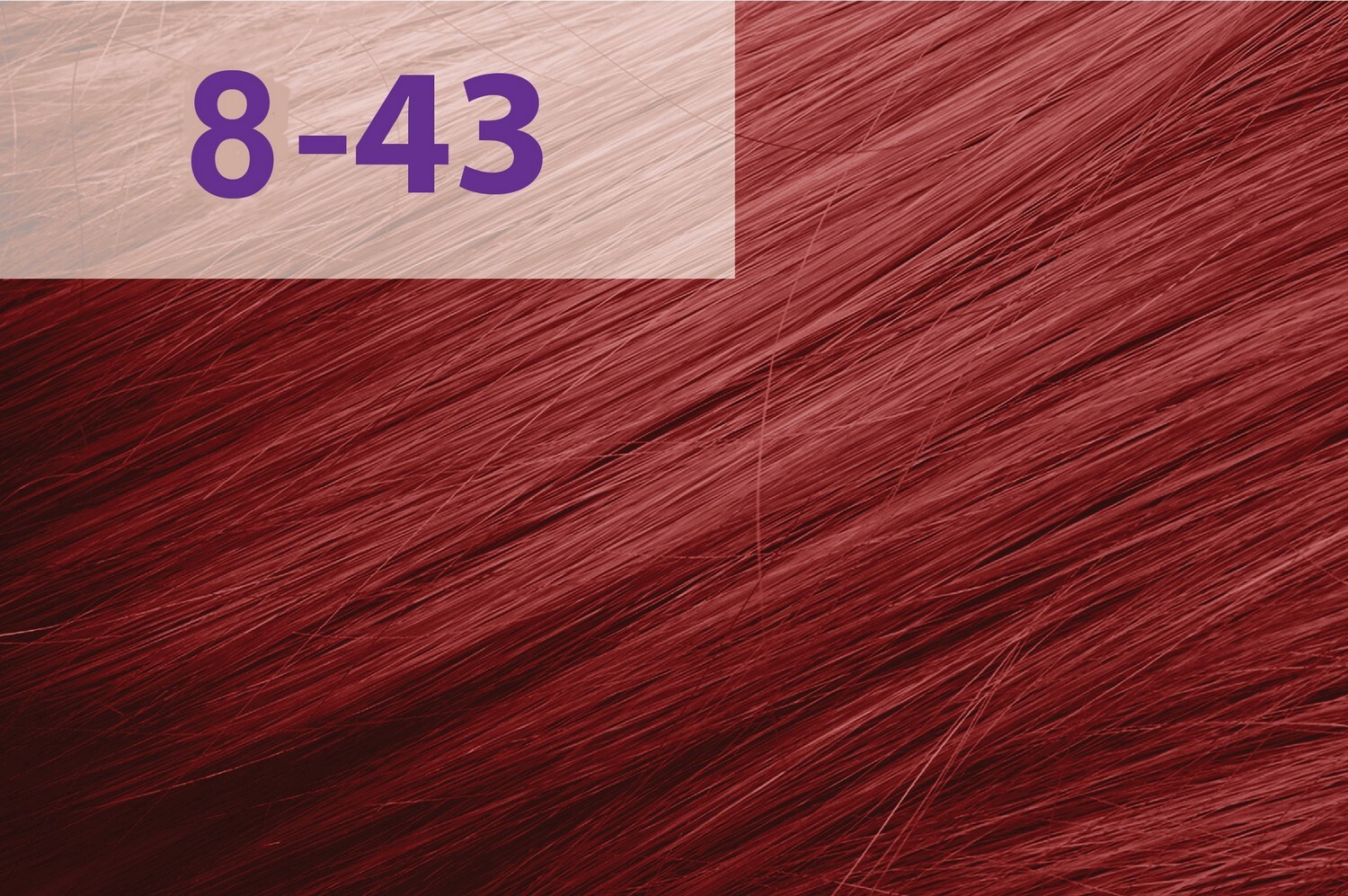 Професійна крем-фарба jNOWA Professional Chromatic Save Siena, відтінок 8/43, 90 мл фото