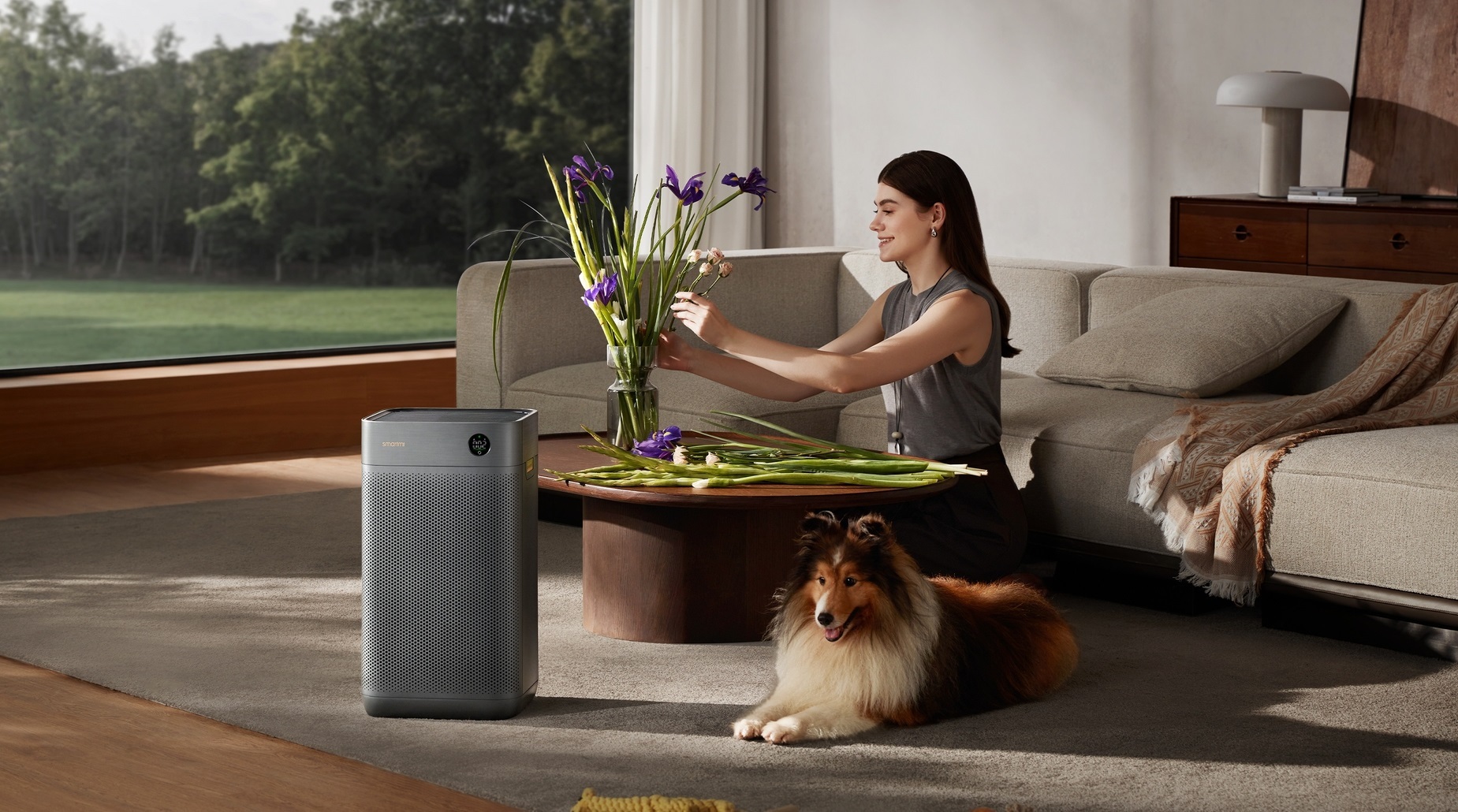 Очиститель воздуха Smartmi Air Purifier 3 (KQJHQ03ZM) фото4