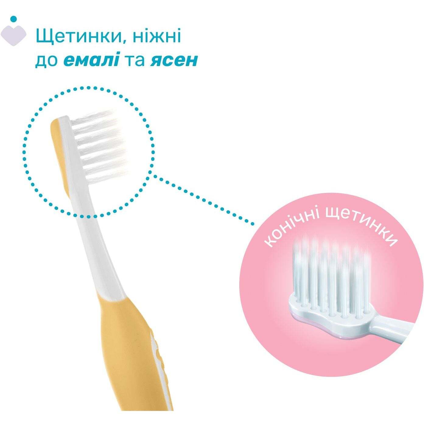 Зубная щетка Chicco для первых зубов 2 шт. желтая с сиреневым (12082.00) фото