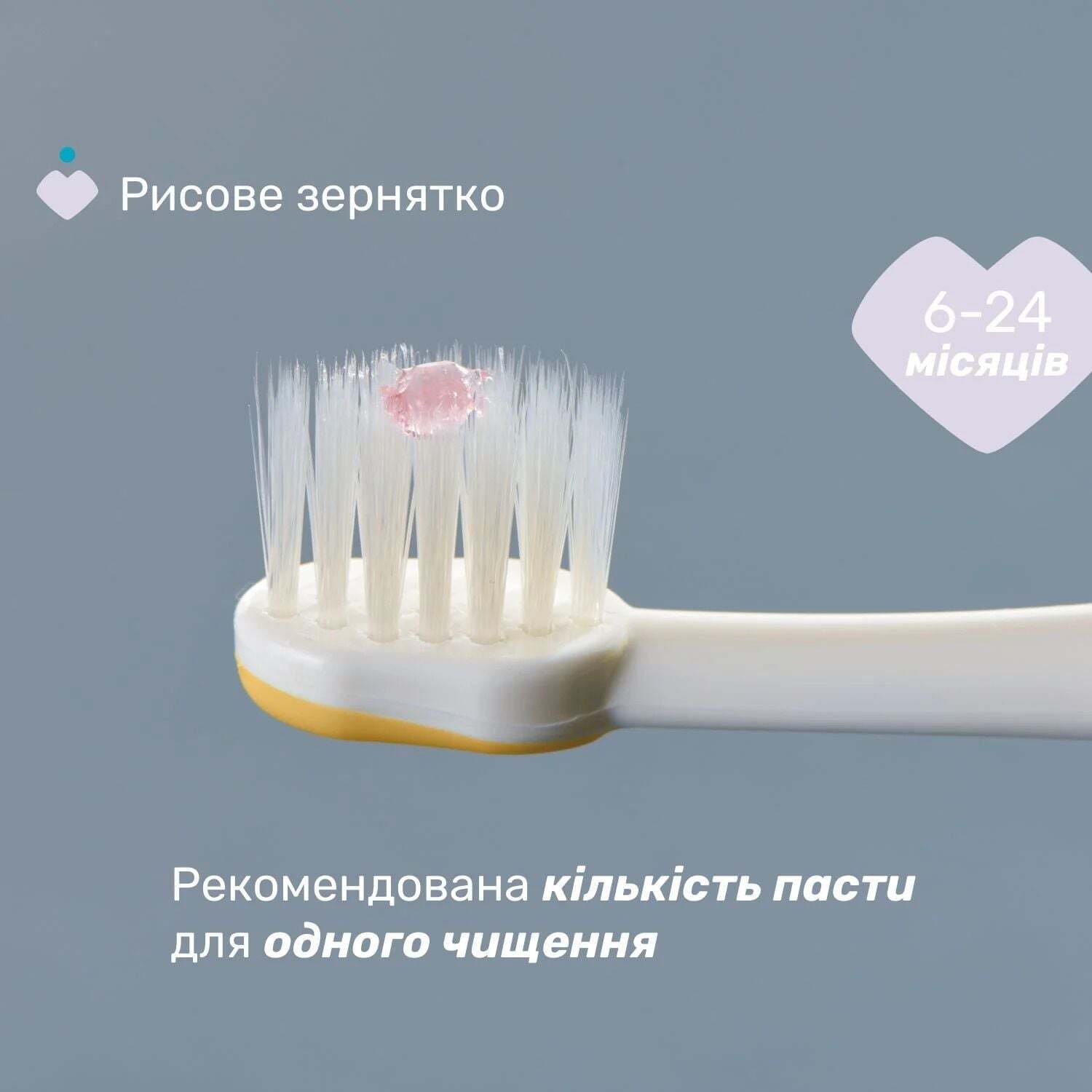 Зубная щетка Chicco для первых зубов 2 шт. желтая с сиреневым (12082.00) фото