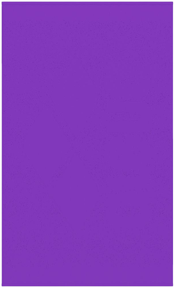 Рушник Arena JACQUARD TOWEL 009049-990 100х50 см Фіолетовий (3468337519478) фото
