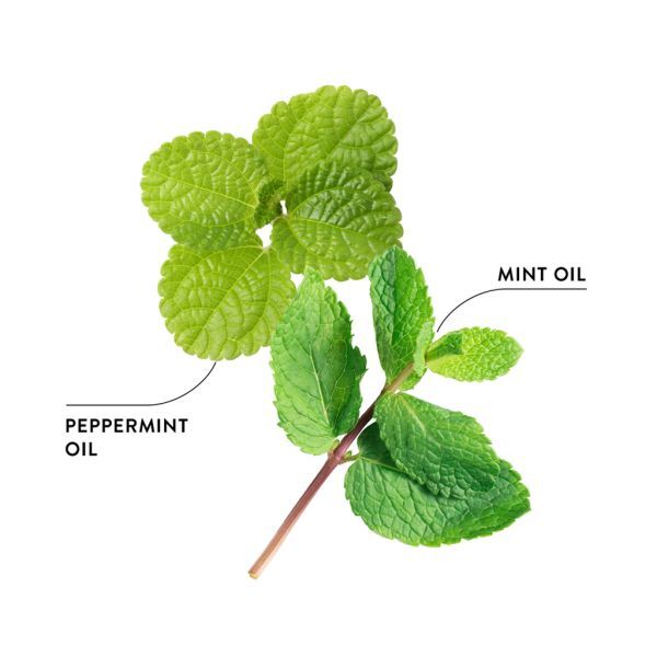 Ополіскувач для ротової порожнини Ecodenta Organic Minty Coconut, 250 мл фото3