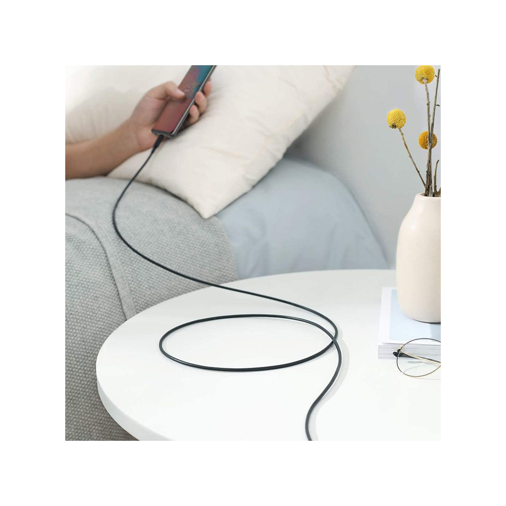 Кабель USB-C to USB-C 1.0m US300 100W 5A (Black) Ugreen (80371) фото