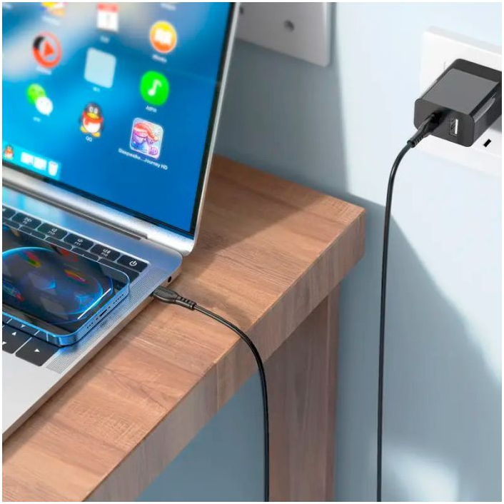 Кабель USB-C to USB-C 1.0m 60W Triumph BX51 black BOROFONE (6931474751669) фото5