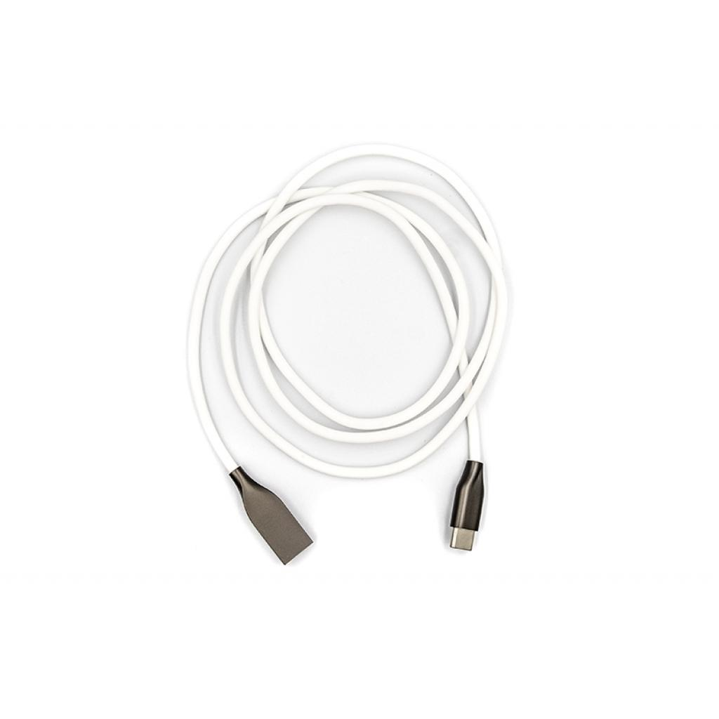 Кабель USB 2.0 AM to USB-C 1.0m white PowerPlant (CA910717) фото2