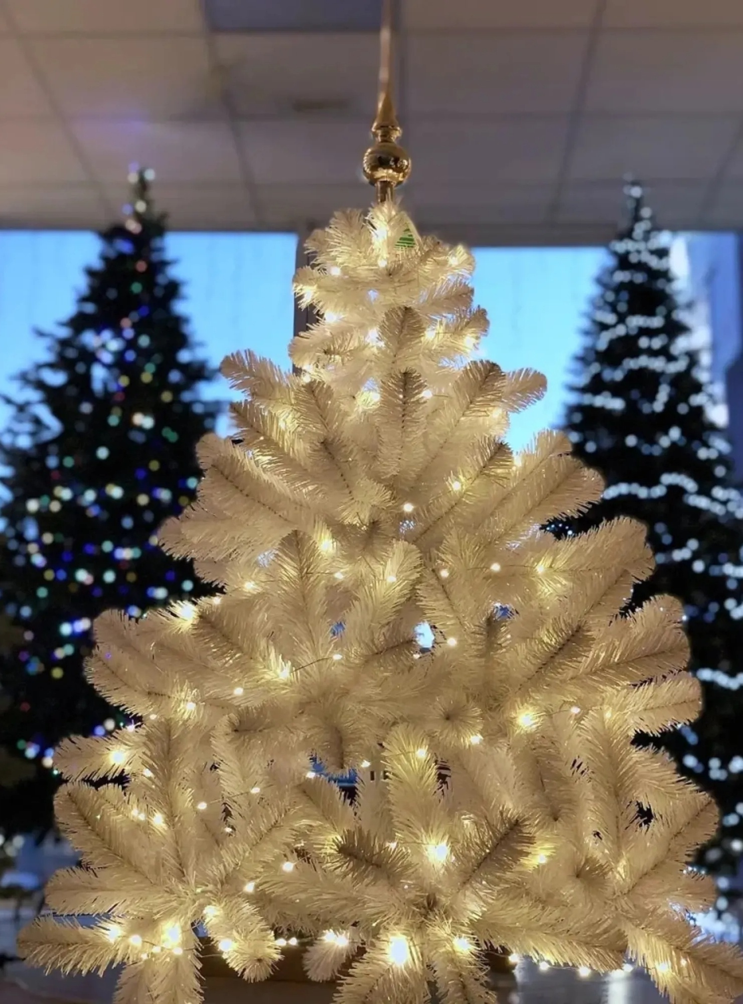 Гірлянда Luca Lighting струна, 1 м, класична біла, 10 LED 2xCR2032 (8718861660623) фото