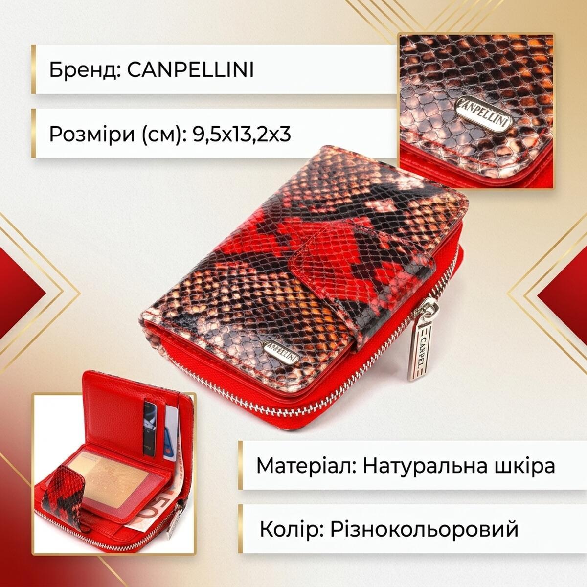 Кошелек женский кожаный Canpellini 21661 разноцветный фото3