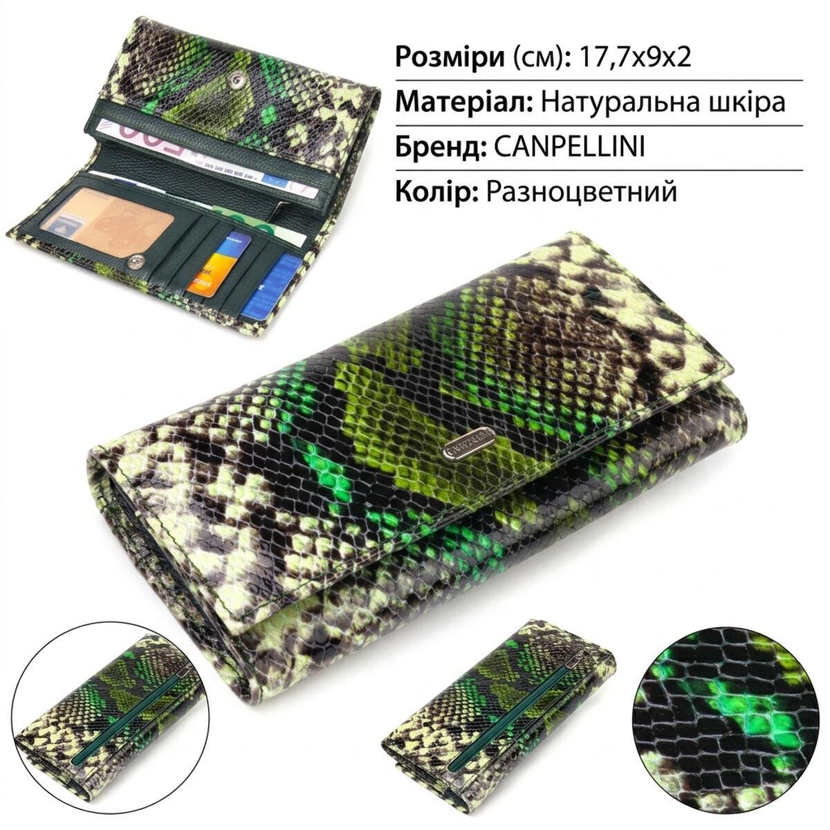 Гаманець жіночий шкіряний Canpellini 21702 різнокольоровий фото2