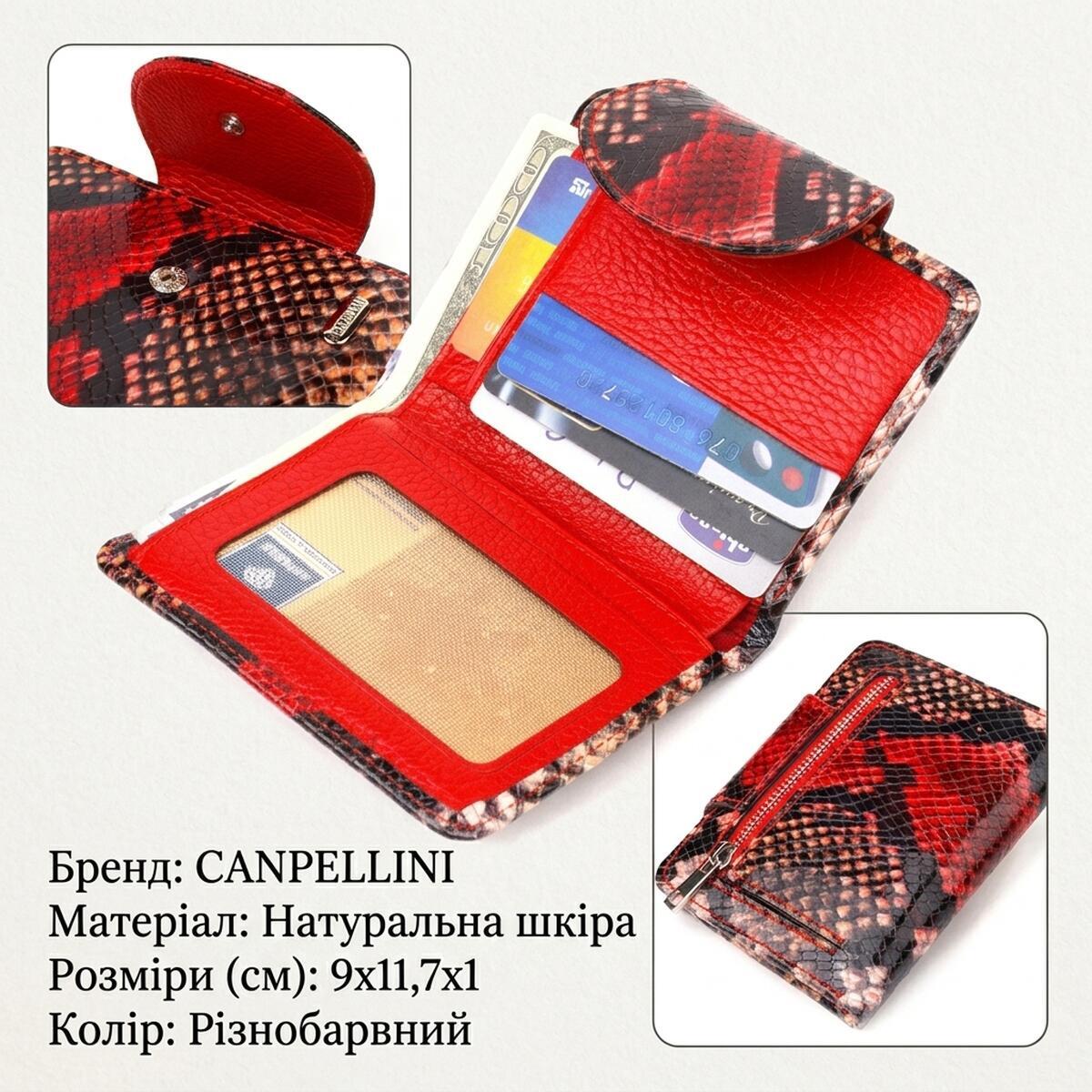 Гаманець жіночий шкіряний Canpellini 21720 різнокольоровий фото3