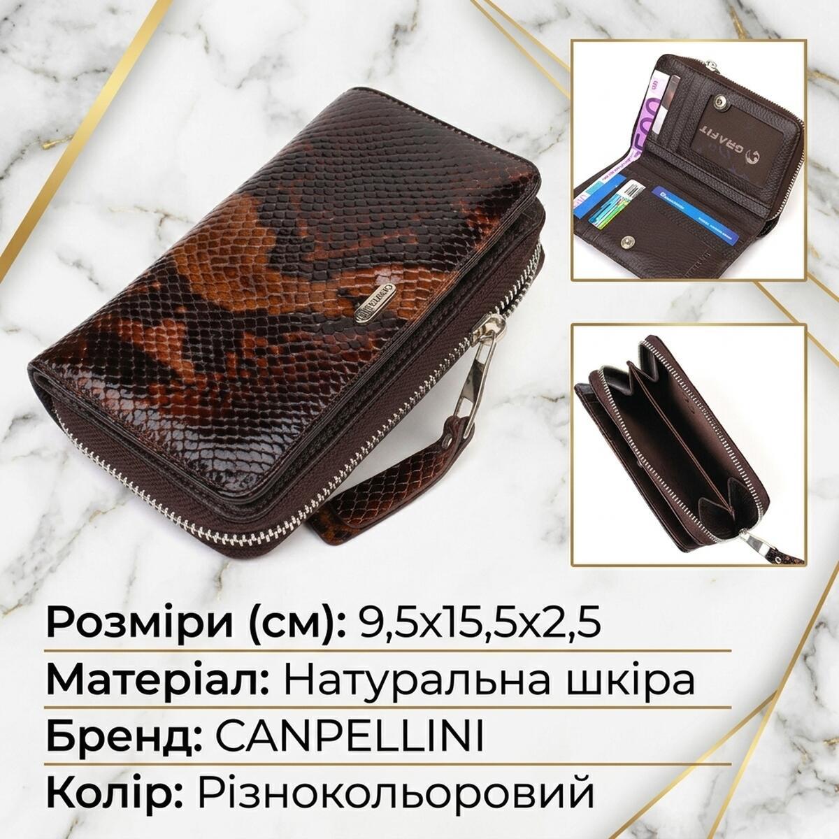 Кошелек женский кожаный Canpellini 21768 разноцветный фото2